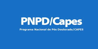 Nano abre seleção para bolsa de Pós-Doutorado PIPD/CAPES: Inscrições até 10 de novembro de 2024