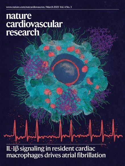 Trabalho com participação de docente da Nano é capa da Nature Cardiovascular Research