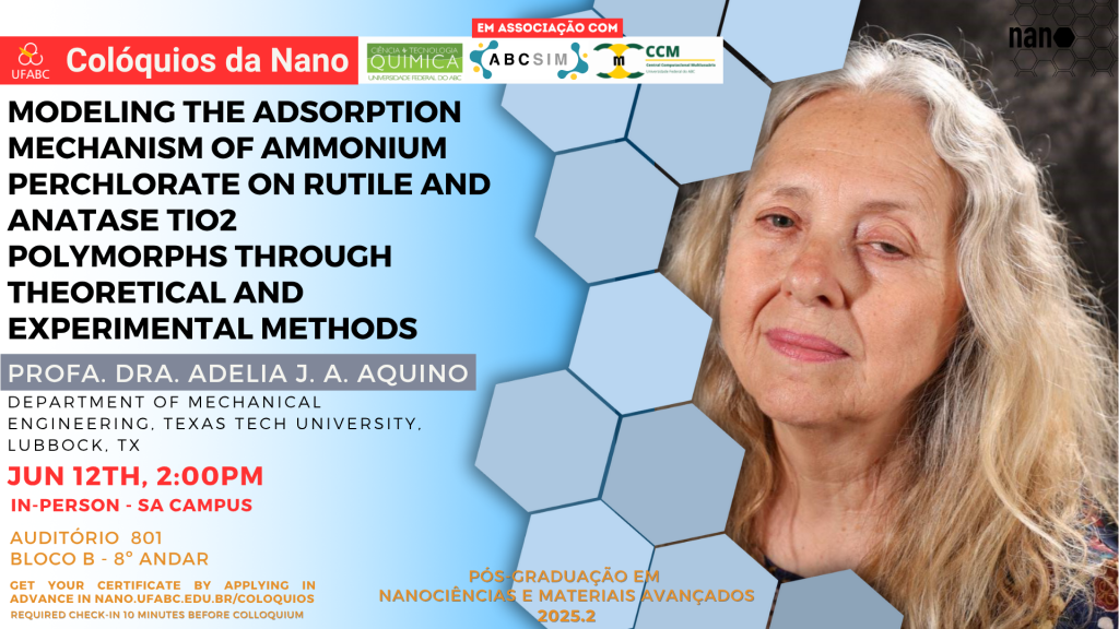 Colóquios da Nano Extra recebe Profa. Dra. Adelia Aquino para palestra sobre modelagem de adsorção em nanomateriais